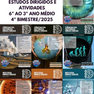 COMBO MINAS GERAIS BIOLOGIA E CIÊNCIAS DA NATUREZA - 6º AO 3º ANO (4º BIMESTRE)