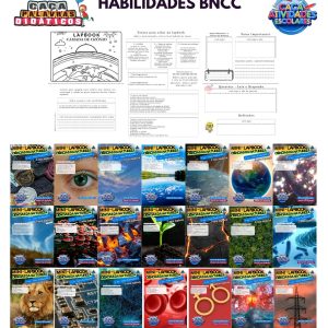 MINI LAPBOOKS DE CIÊNCIAS DA NATUREZA - 6º AO 9º ANO (1º AO 4º BIMESTRE) - 135 TEMAS